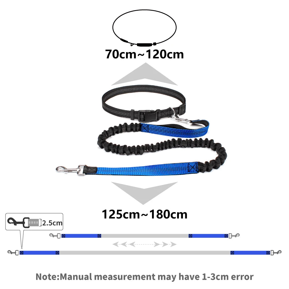 RunBuddy Leash™