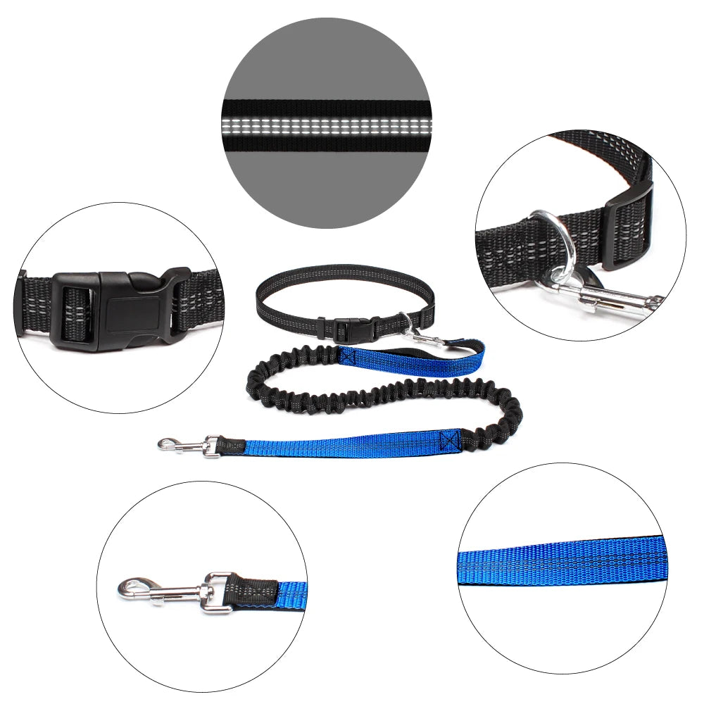 RunBuddy Leash™