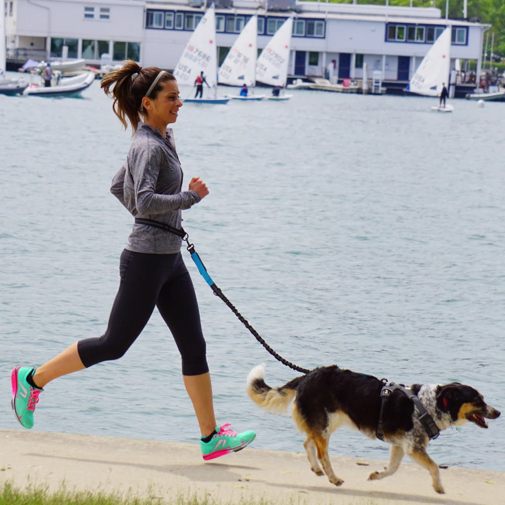 RunBuddy Leash™